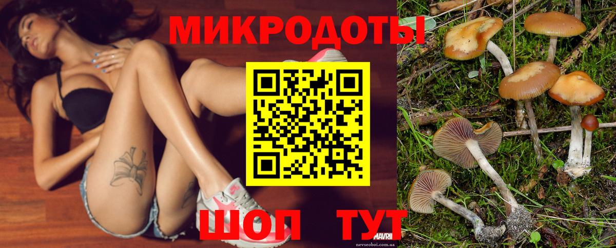 Галлюциногенные грибы мицелий  купить наркотики сайты  Вход с VPN  Барабинск  Псилоцибиновые грибы Psilocybine cubensis 