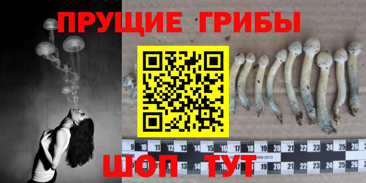 Псилоцибиновые грибы ЛСД Барабинск